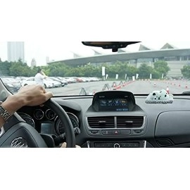 Welno Sleeping Baby Doggie Cat with pad for Car Dashboard Has purify air Decorative Showpiece 